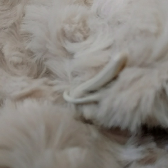 💥SOLD!💥  NWT Dennis Basso Jacket - Picture 5 of 7